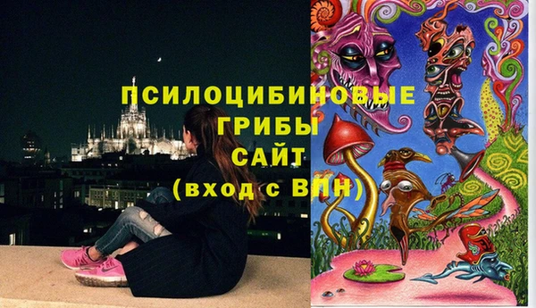 не бодяженный Дмитров